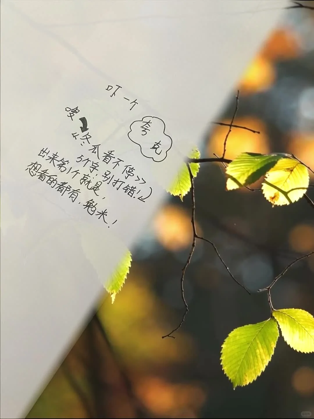 这才是免费看剧app