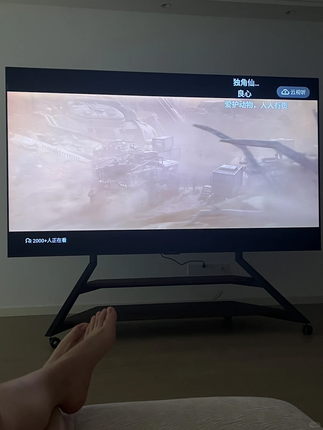 100寸电视机看起来好爽