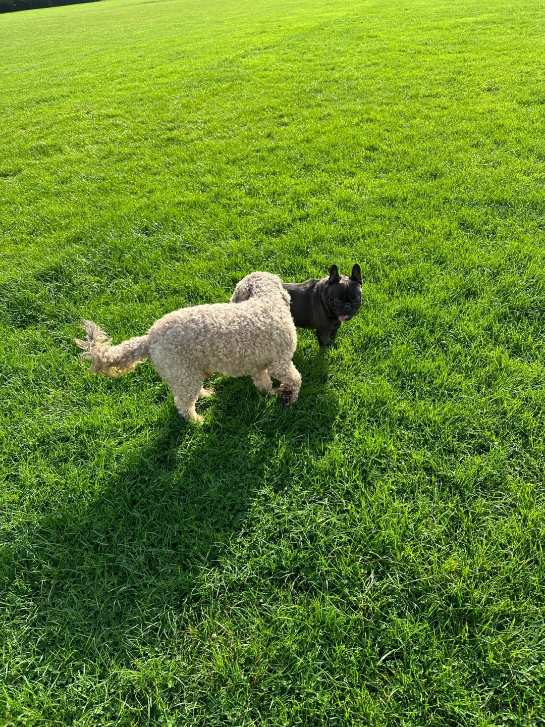 🇬🇧英区留子冬令时有福了！