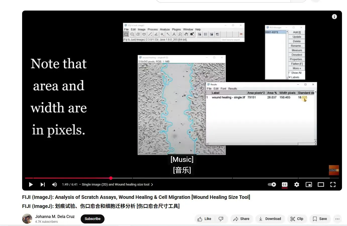 划痕实验一键出图