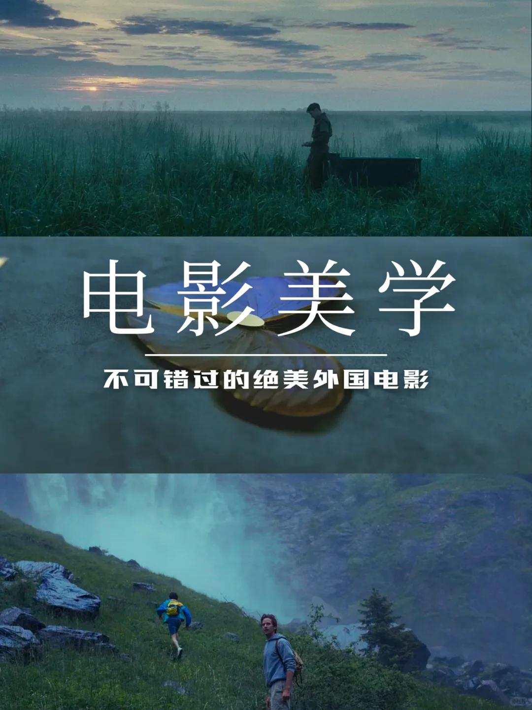 审美积累| 10部电影领略影视美学🎬