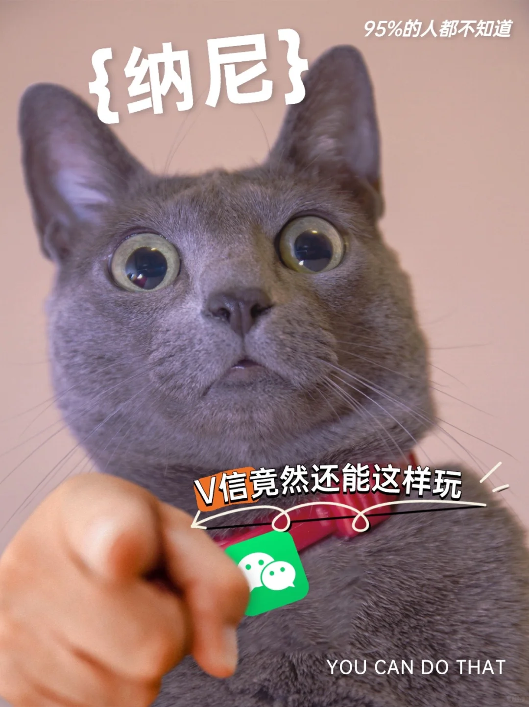 95%的人都不知道‼️V信竟然还能这样玩