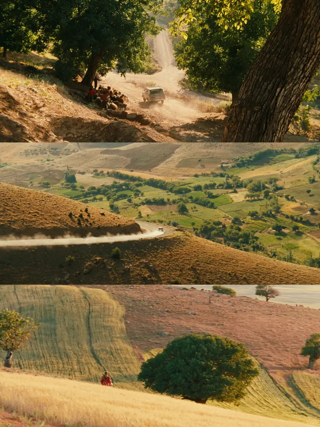 😭我真的好爱好爱这部电影❗️❗️❗️