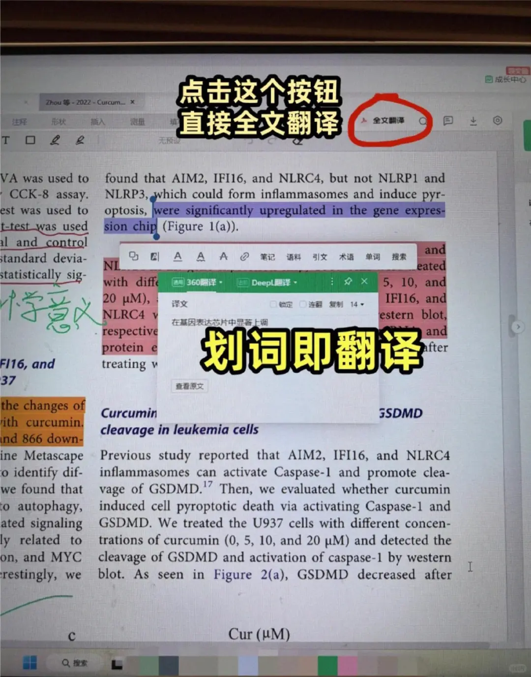 我愿称zotero之光-10分钟拿下