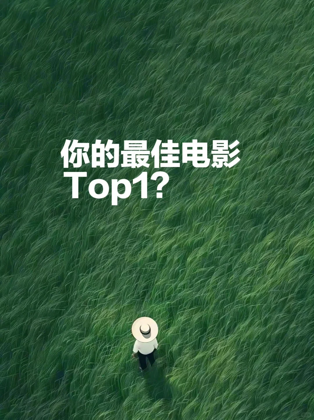 哪部电影是你心中的Top1？
