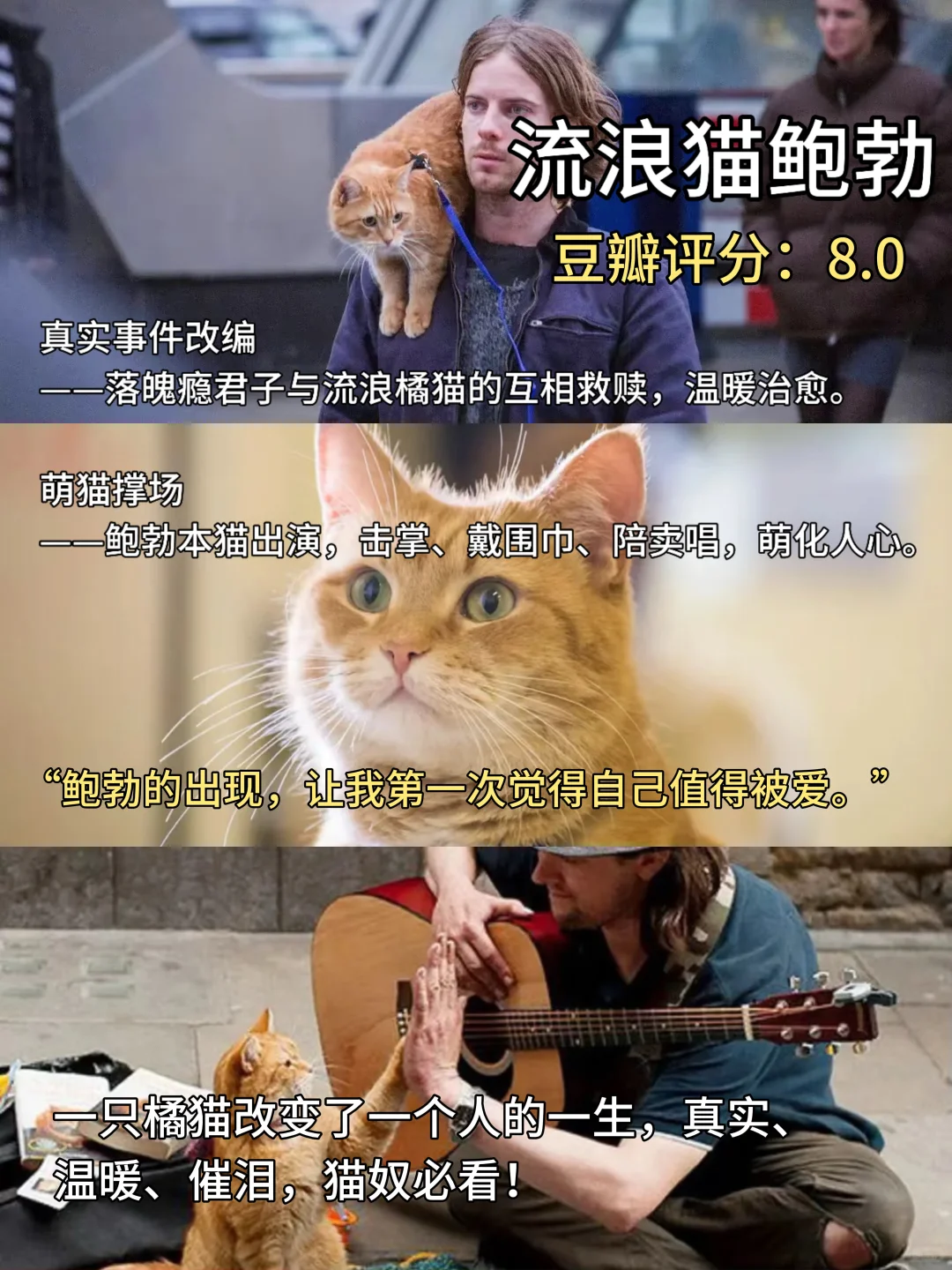 周末停止摆烂，请狂刷这10部电影🎬