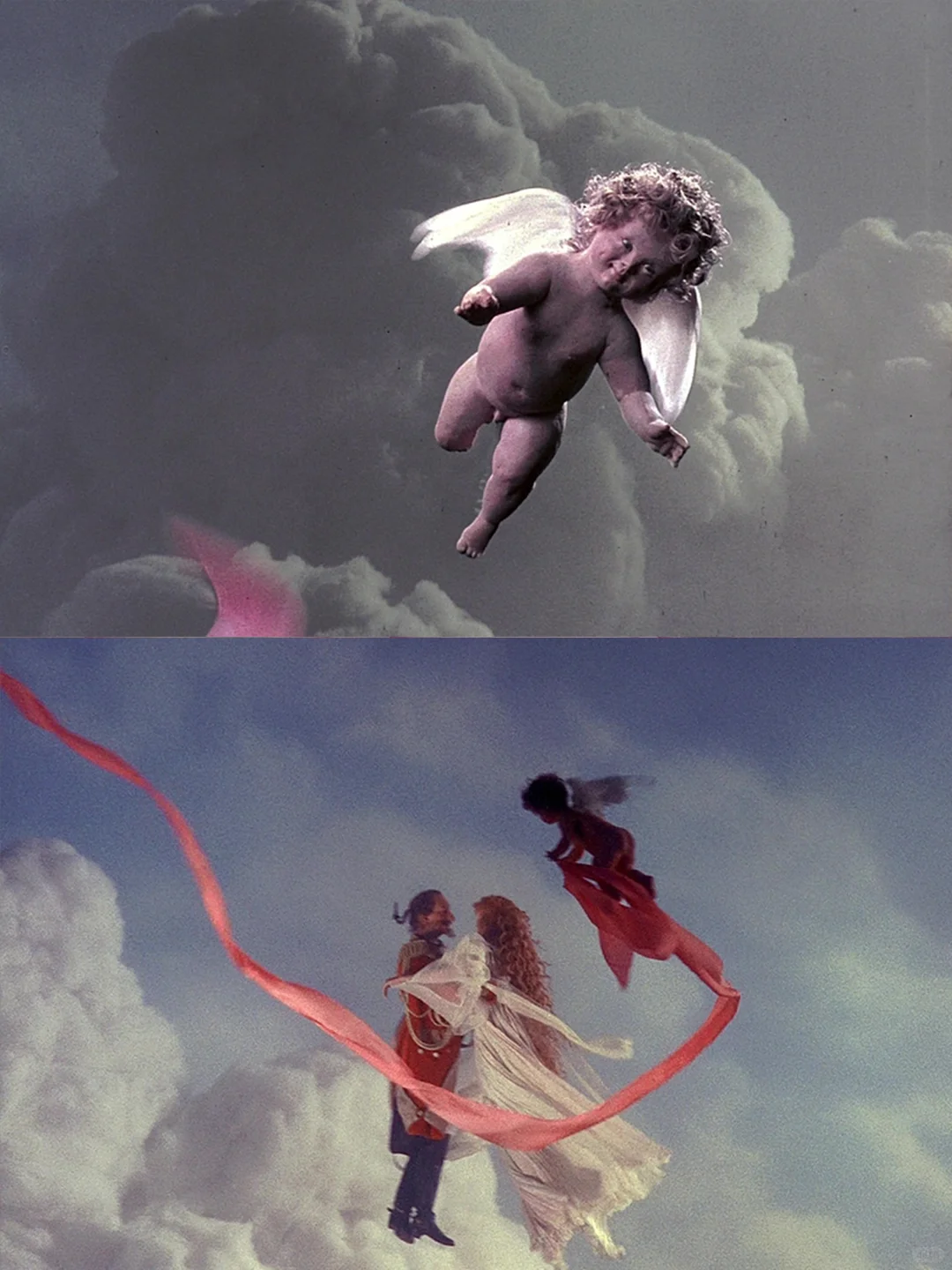 ✨维纳斯美神降临❗️美到犯规的怪诞美学电影