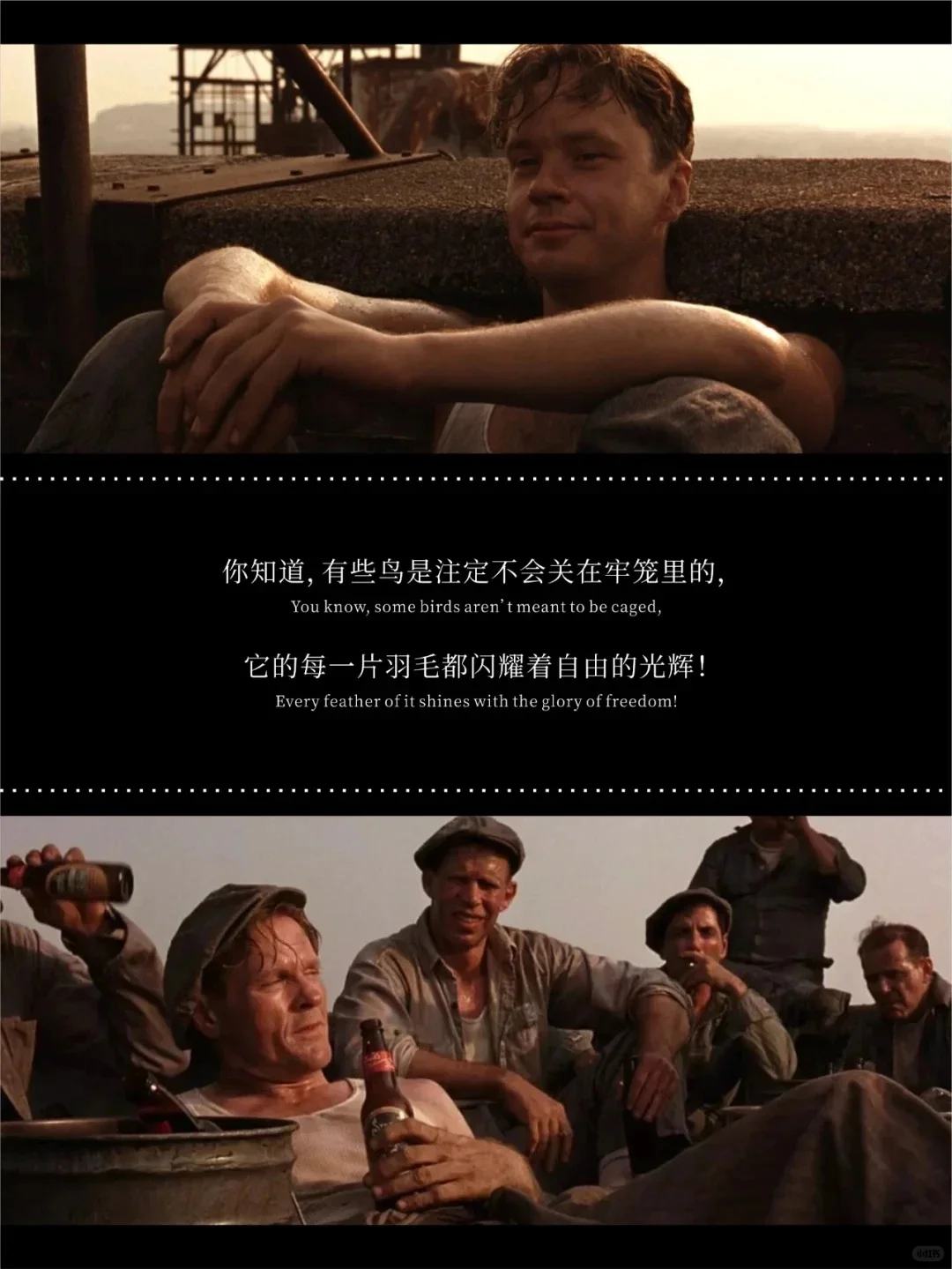 【电影推荐】豆瓣Top250电影