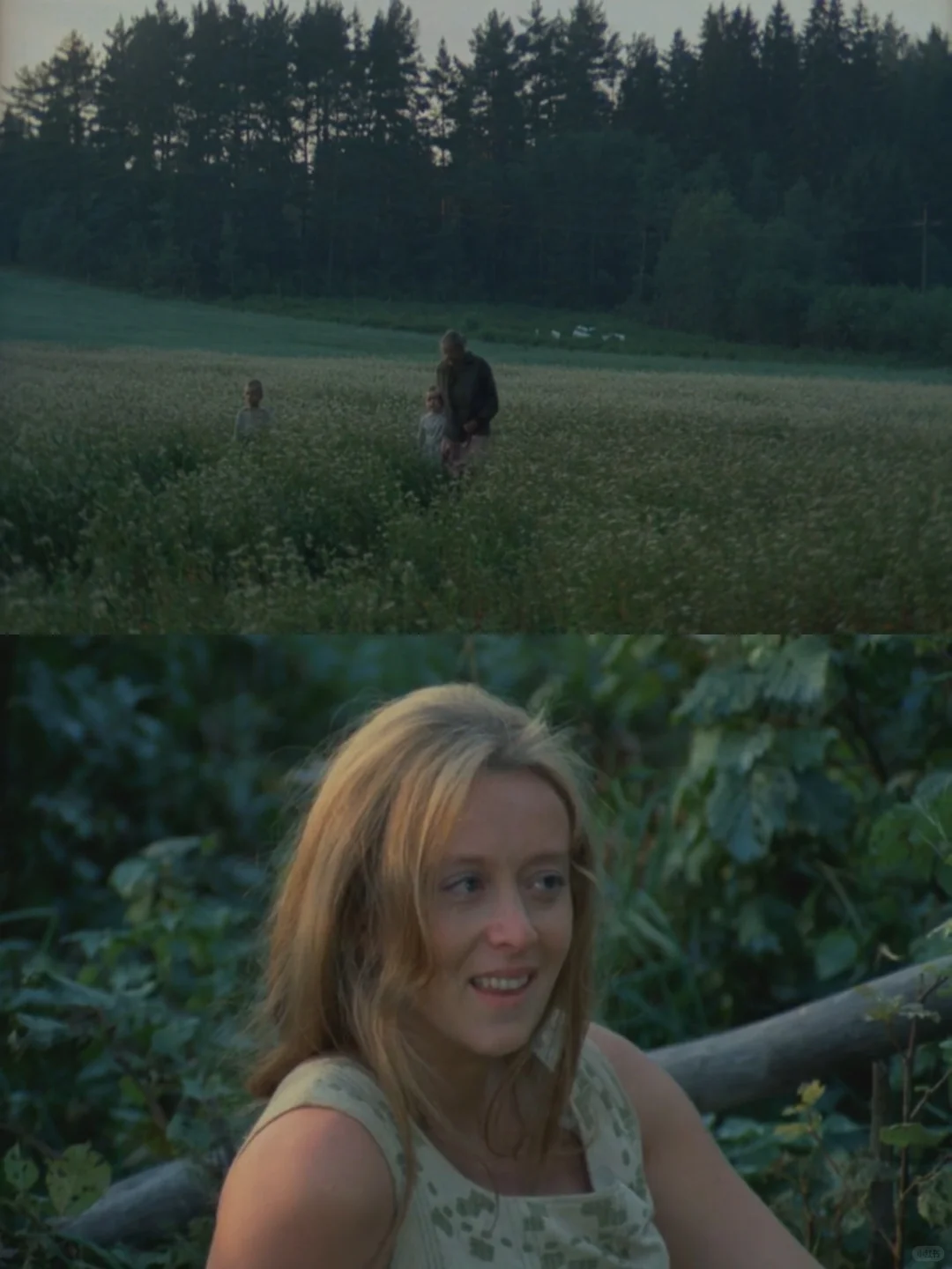 豆瓣9.0❗幸好没错过😭这部私人史诗简直绝美