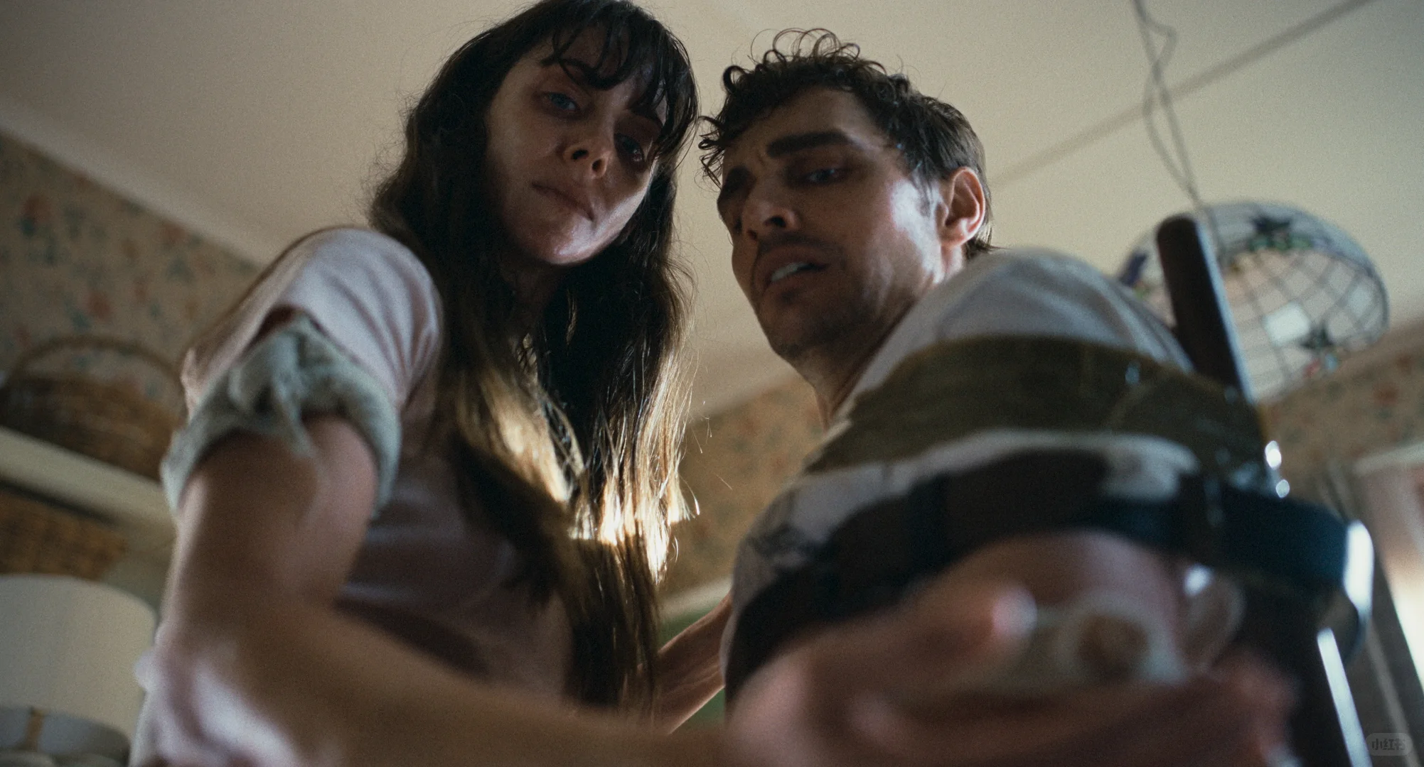 🎬2025年度最佳身体恐惧