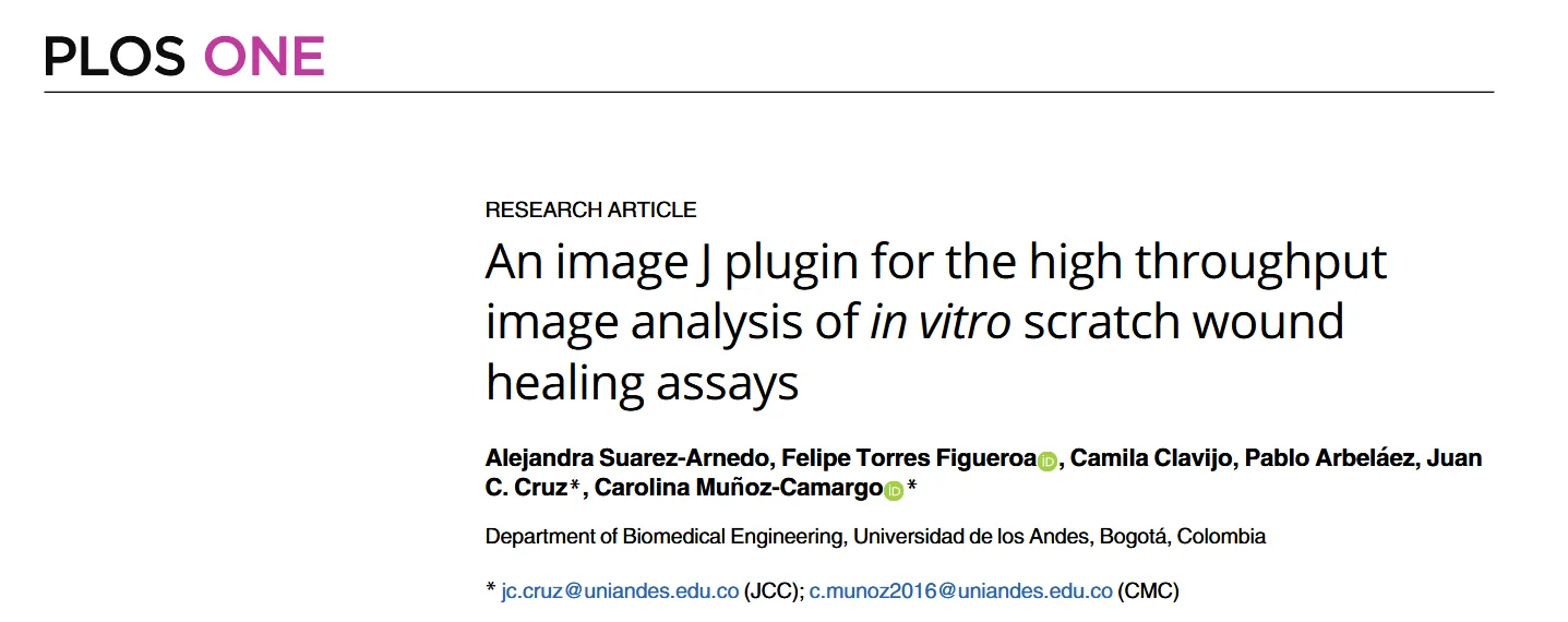 划痕实验一键出图