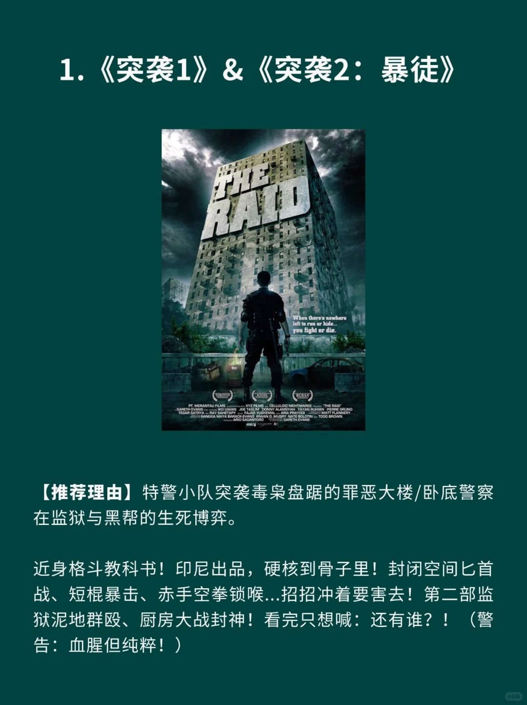 8部格斗干脆利落硬核猛片🎦