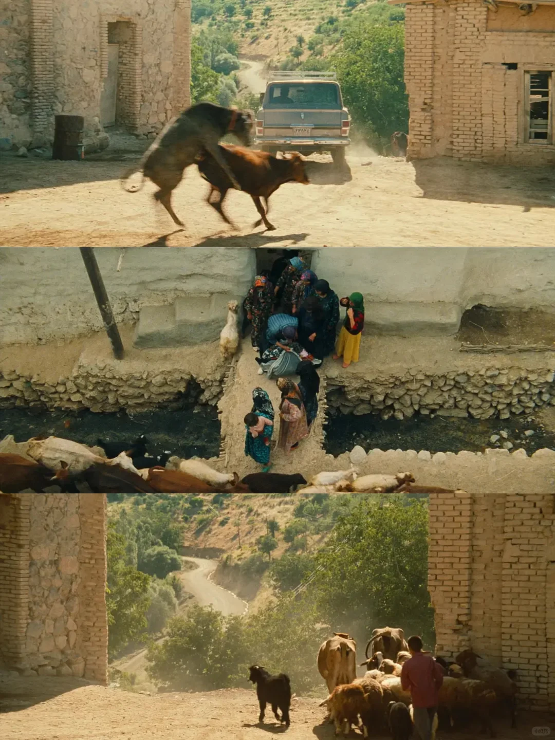 😭我真的好爱好爱这部电影❗️❗️❗️