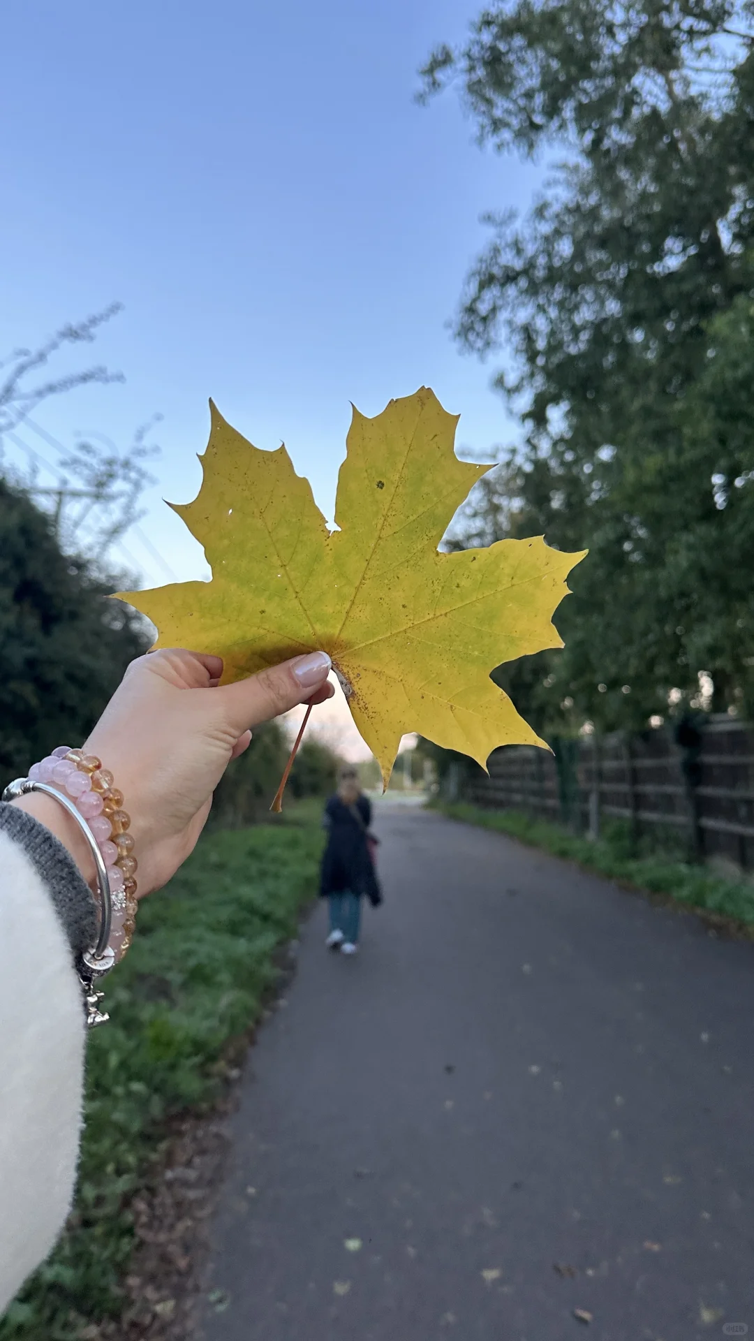 🇬🇧英区留子冬令时有福了！