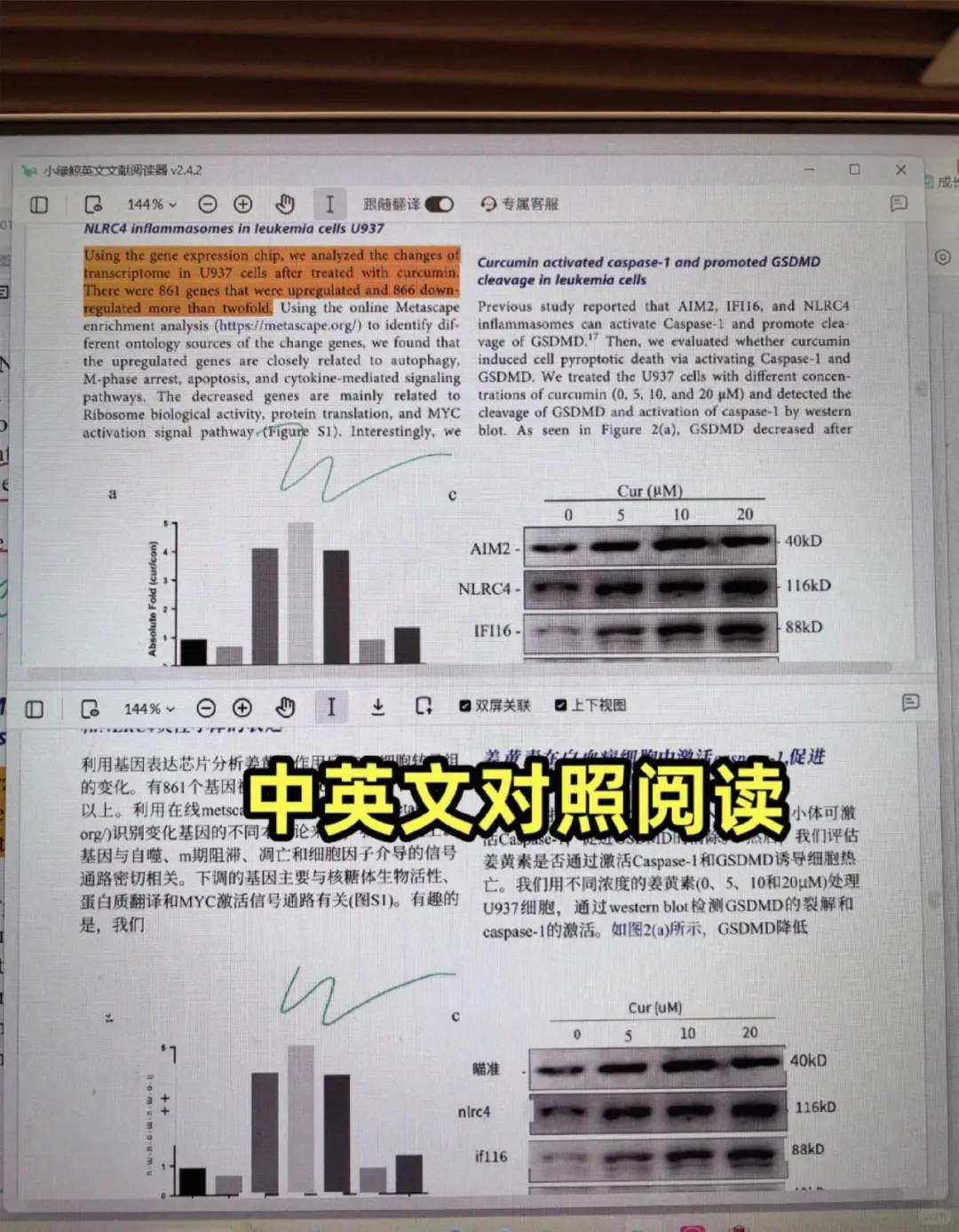 我愿称zotero之光-10分钟拿下