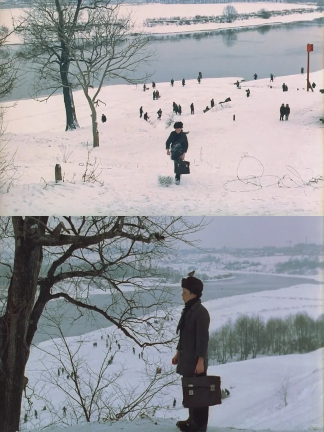 豆瓣9.0❗幸好没错过😭这部私人史诗简直绝美