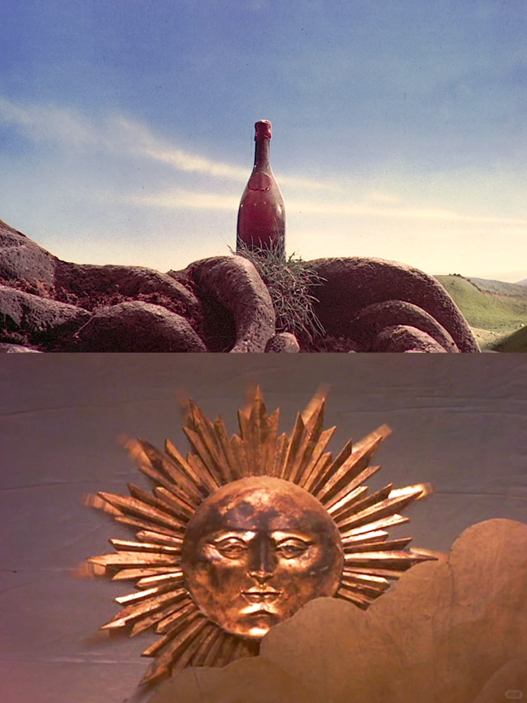 ✨维纳斯美神降临❗️美到犯规的怪诞美学电影