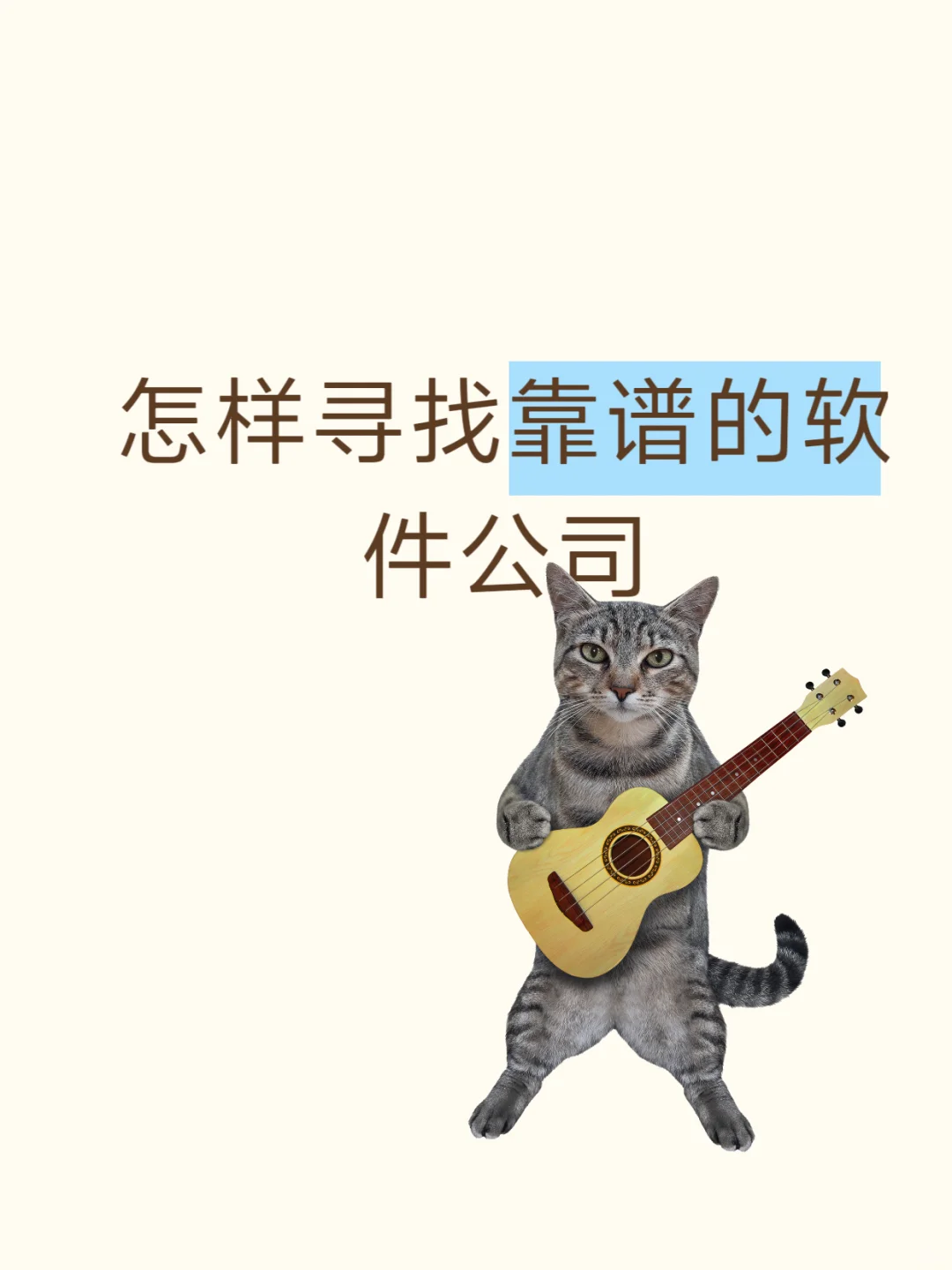 怎样寻找靠谱的软件公司