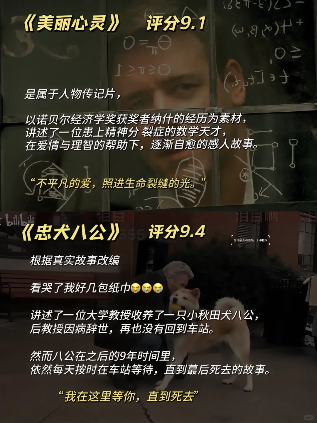 🔥周末狂刷16部电影！拯救剧荒✨