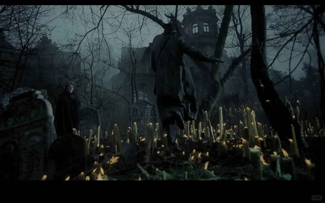 寻找一起看电影的搭子小伙伴！🍿(º﹃º)