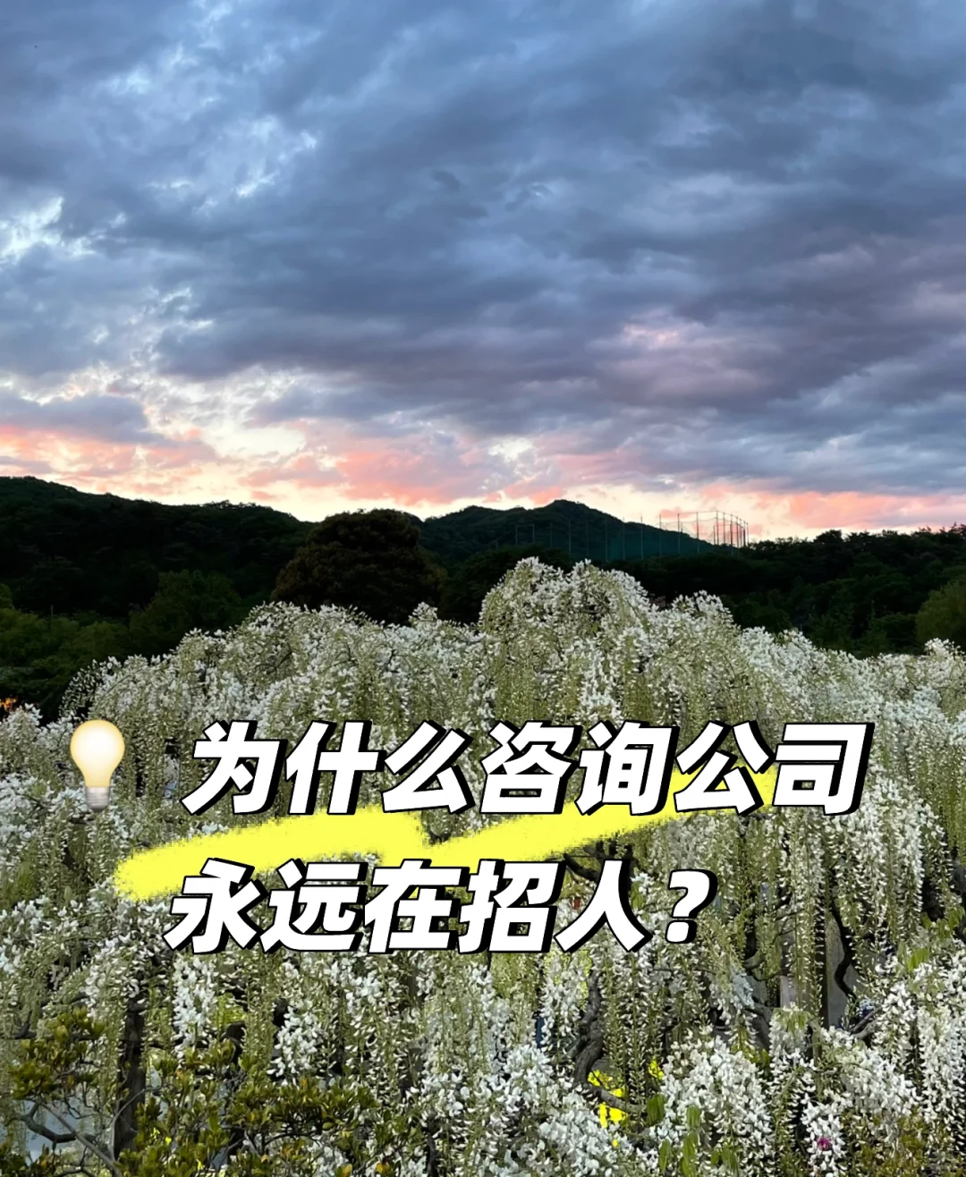 💡 为什么咨询公司永远在招人？