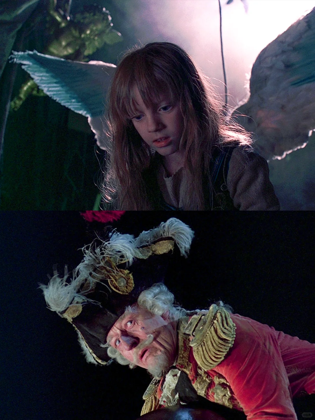 ✨维纳斯美神降临❗️美到犯规的怪诞美学电影