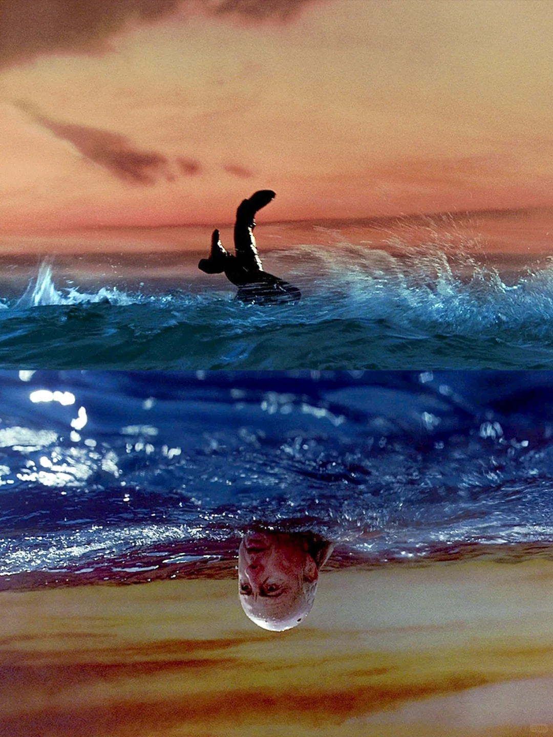 ✨维纳斯美神降临❗️美到犯规的怪诞美学电影