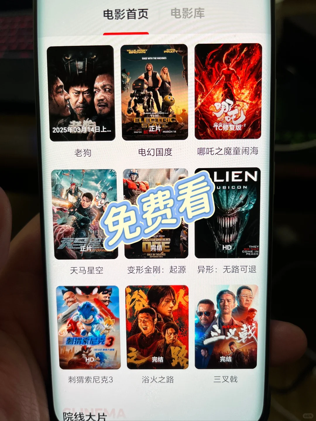 竟然可以全网免费看的软件！😂