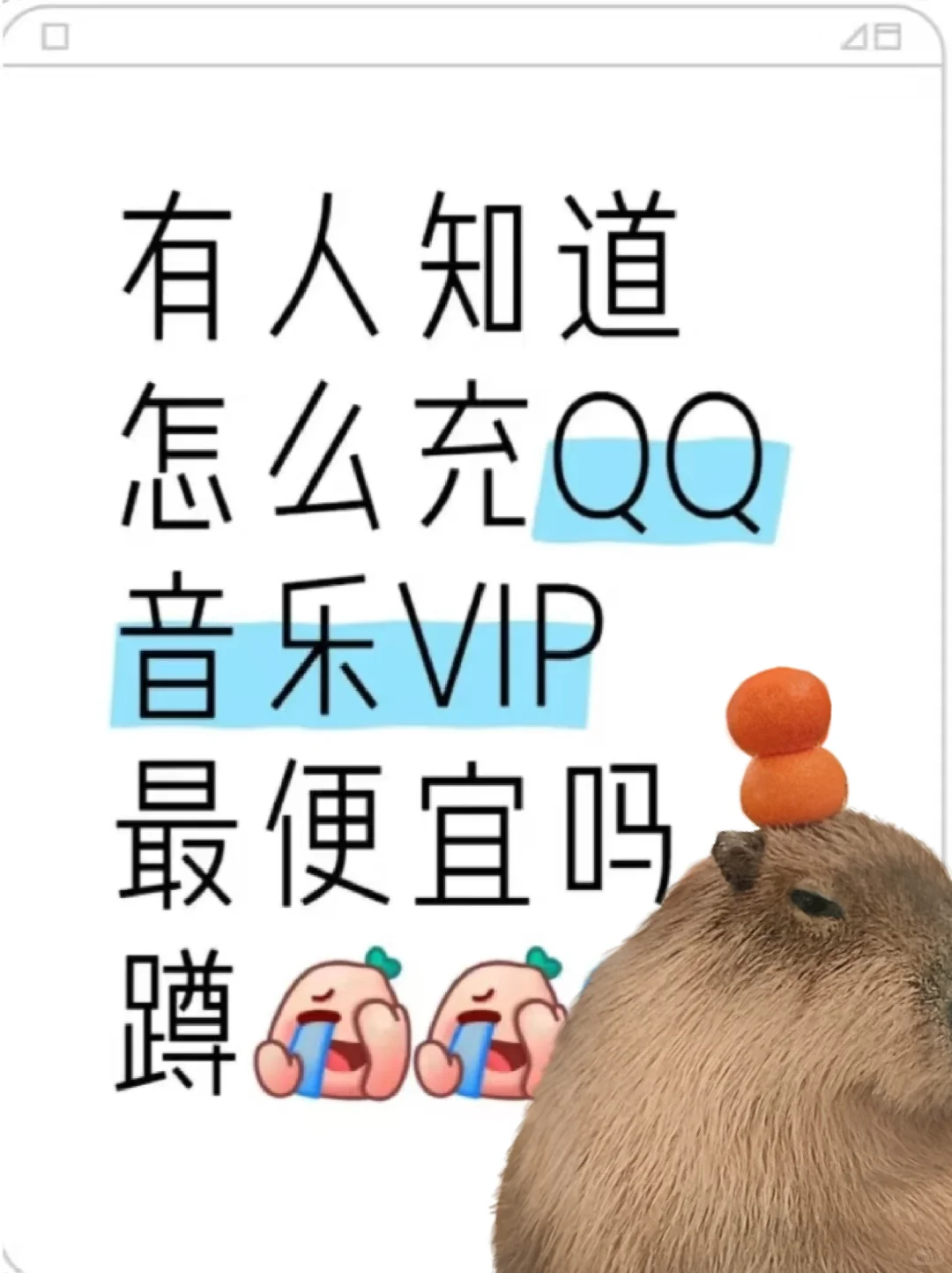 最省钱的QQ音乐VIP攻略，求推荐