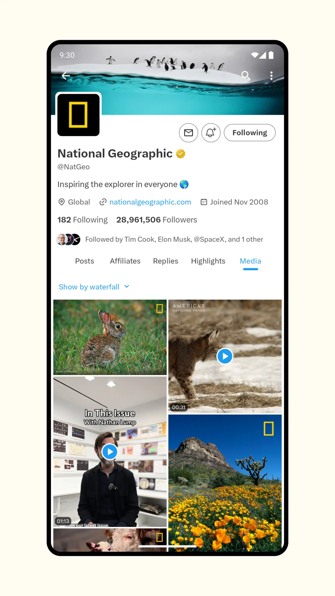 小蓝鸟第三方App ，免费测试，无广告。