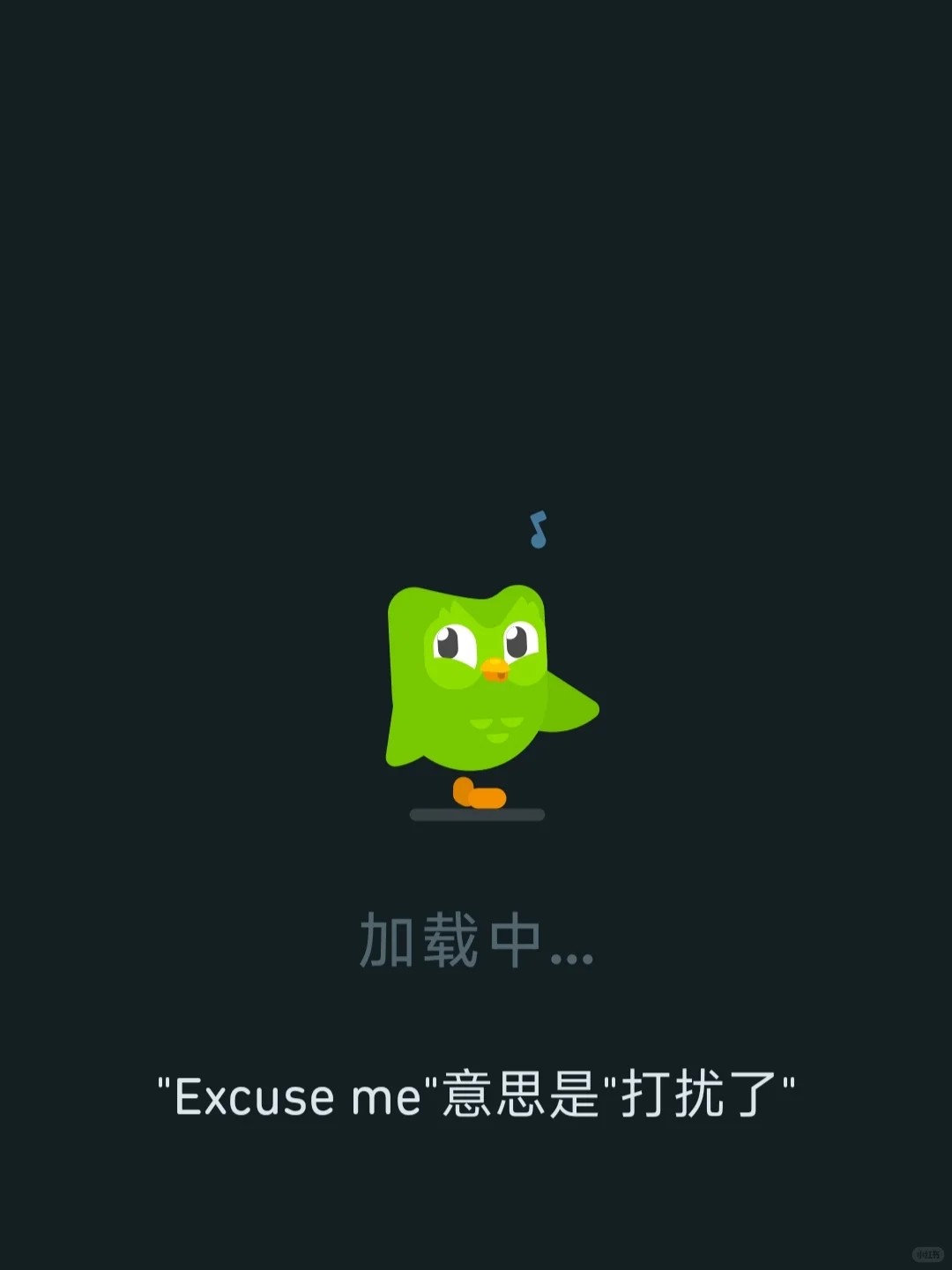 连胜99天后，多邻国崩了