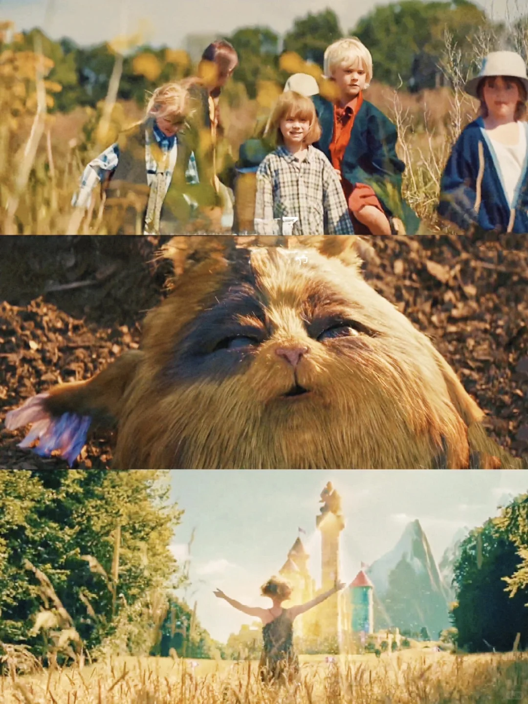 奇幻电影第十二！！🎦《艾米丽的魔法之旅》