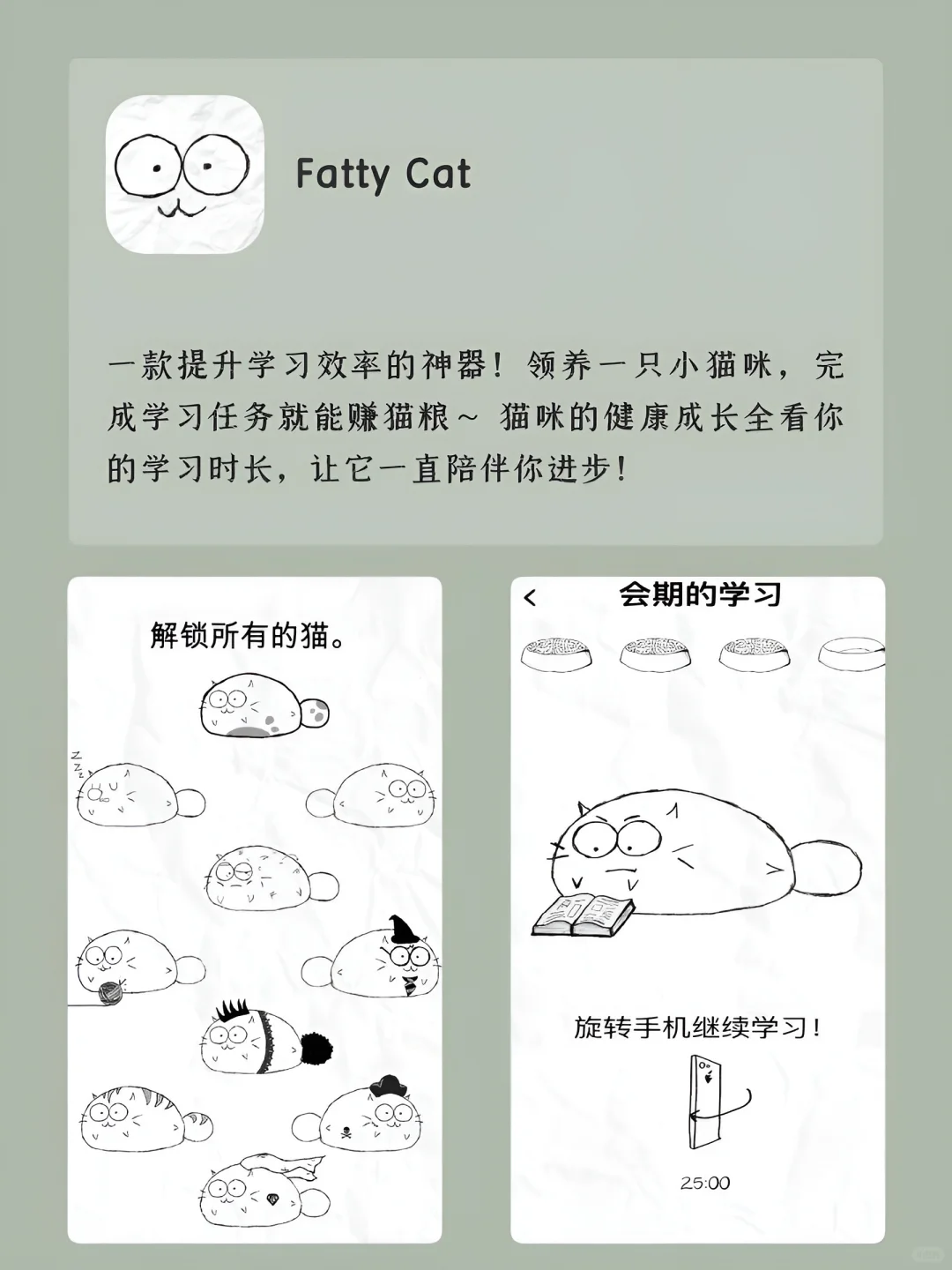 自我提升｜女生内卷｜APP‼️