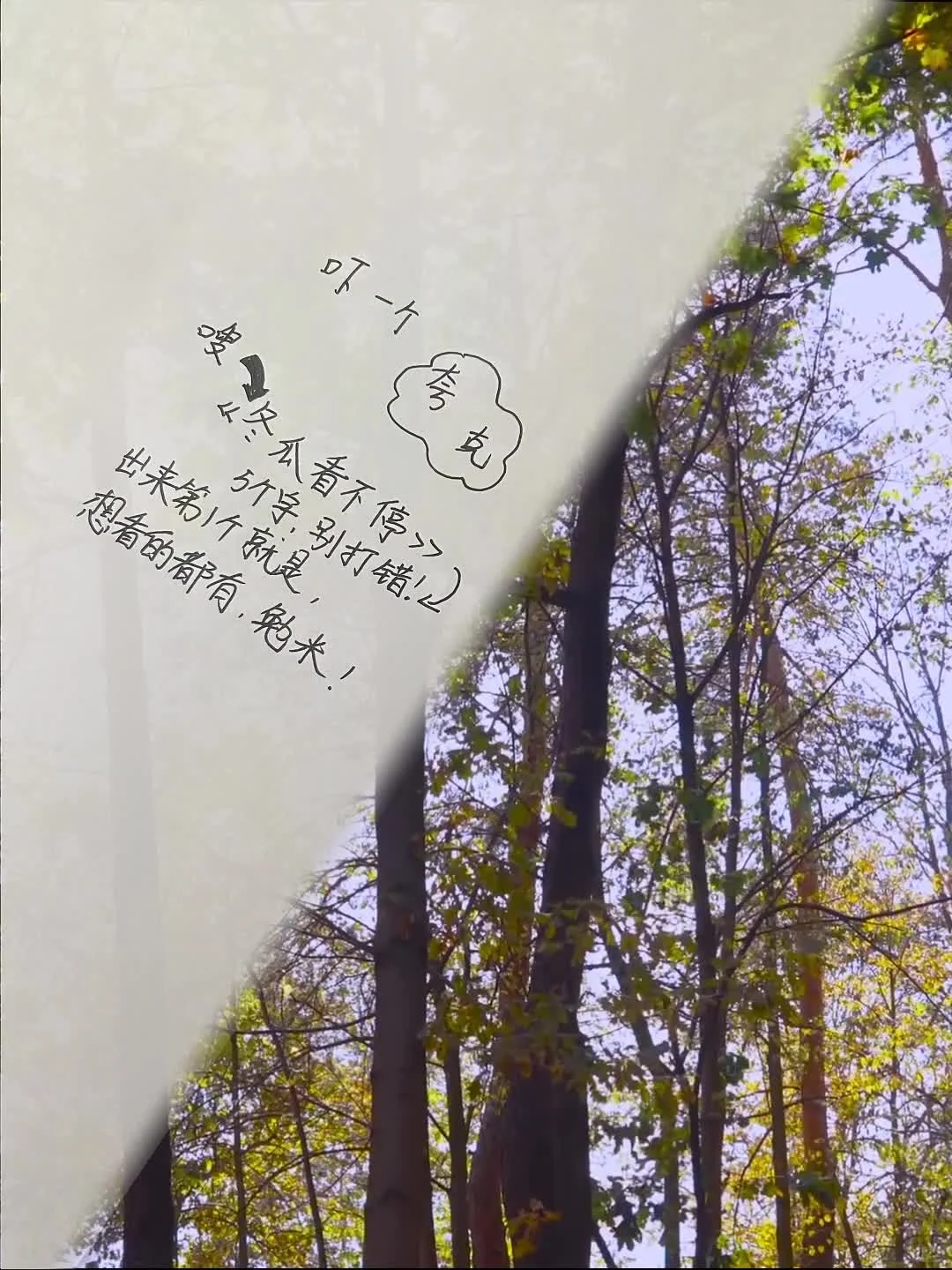 分享一个免费看剧哒app