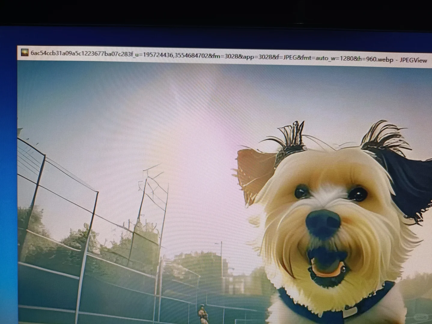 怎么把JPEGView打开的图上面标题栏去掉