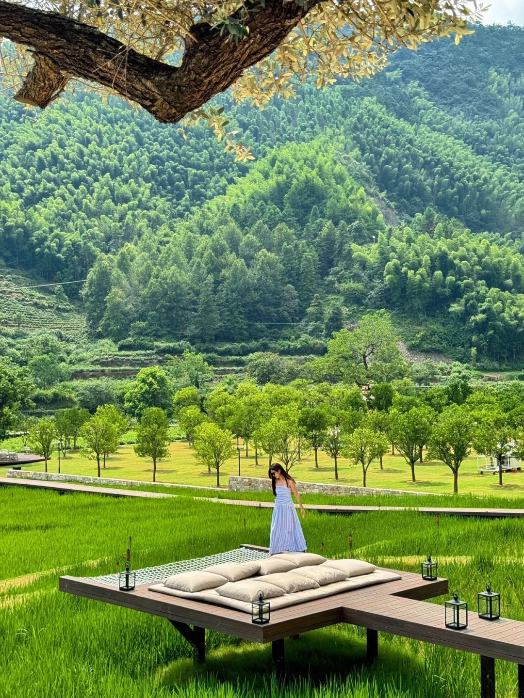 哪些神仙App舍不得删？跟着AppGallery抄作业