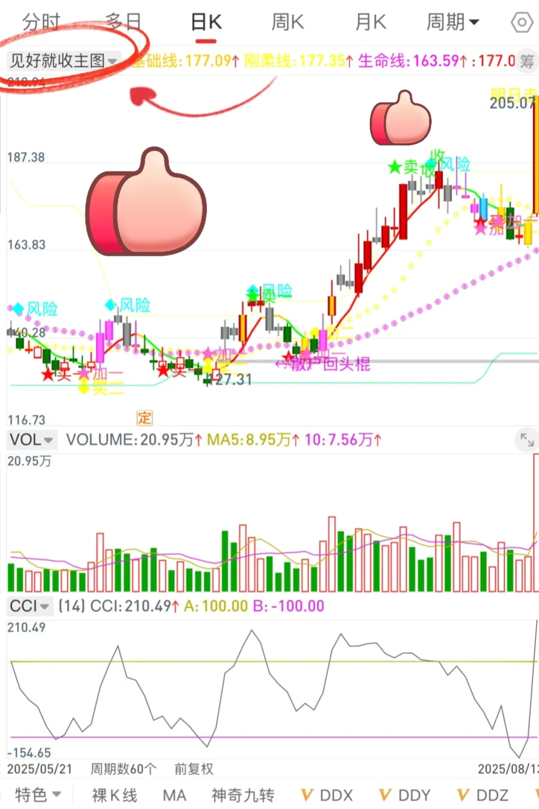 通达信珍藏版（见好就收）高胜率tn6源码编写