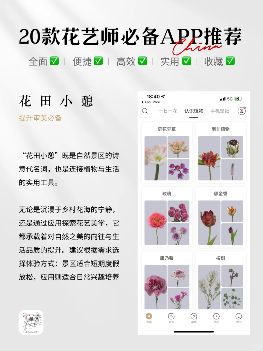 花艺师工具大公开！这些法宝让你事半功倍
