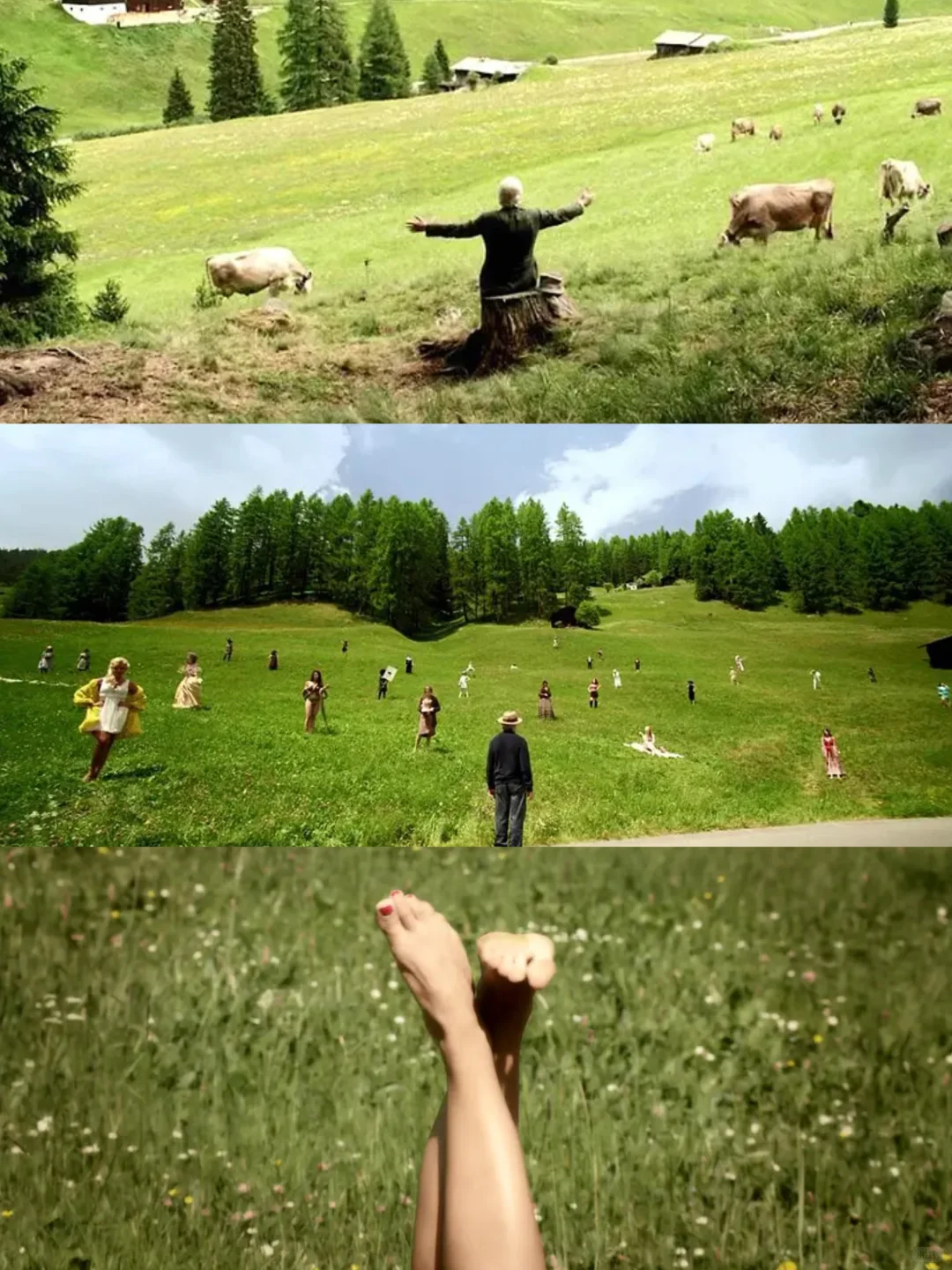 😭今年最爱的人生电影，没有之一❗️