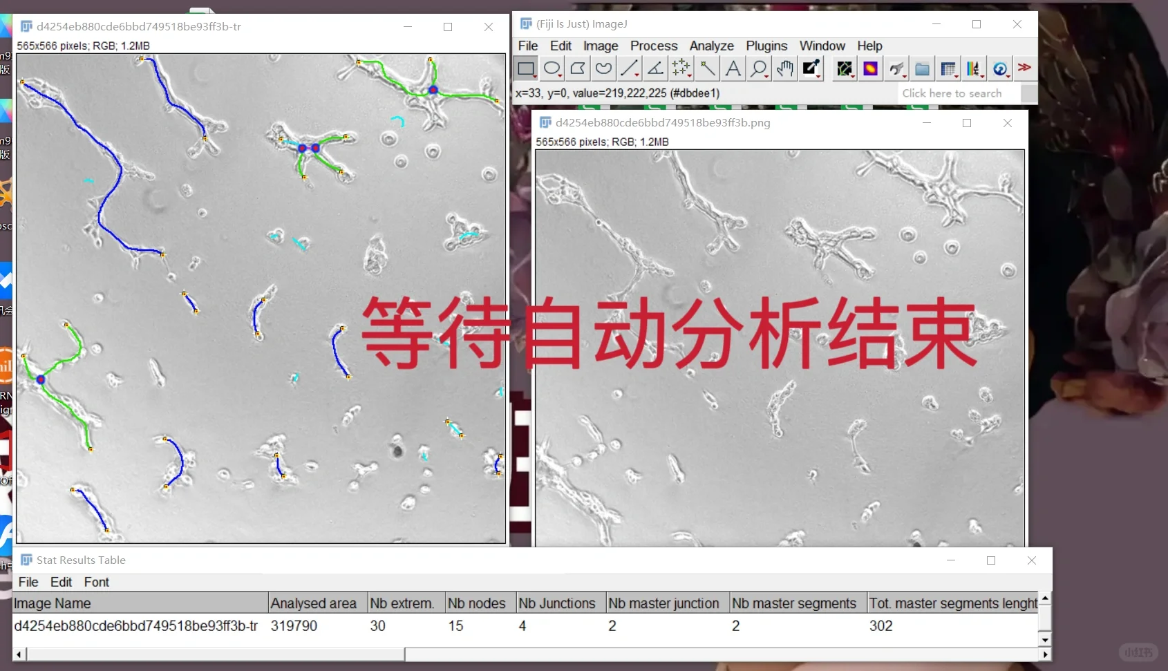 image j插件下载安装步骤