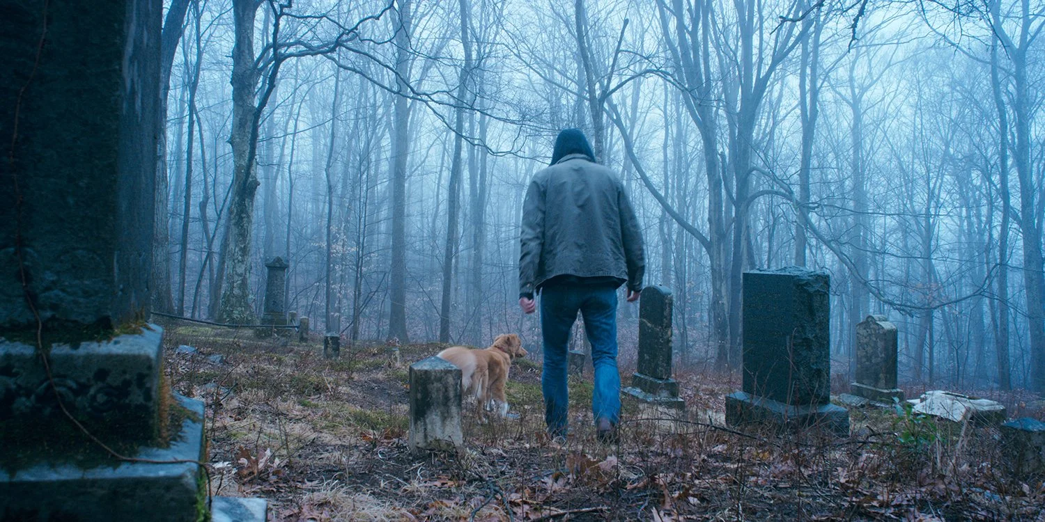 有意思，以一只小狗的视角拍的恐怖片。