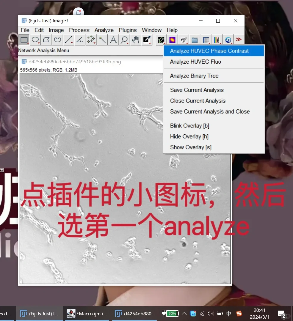 image j插件下载安装步骤