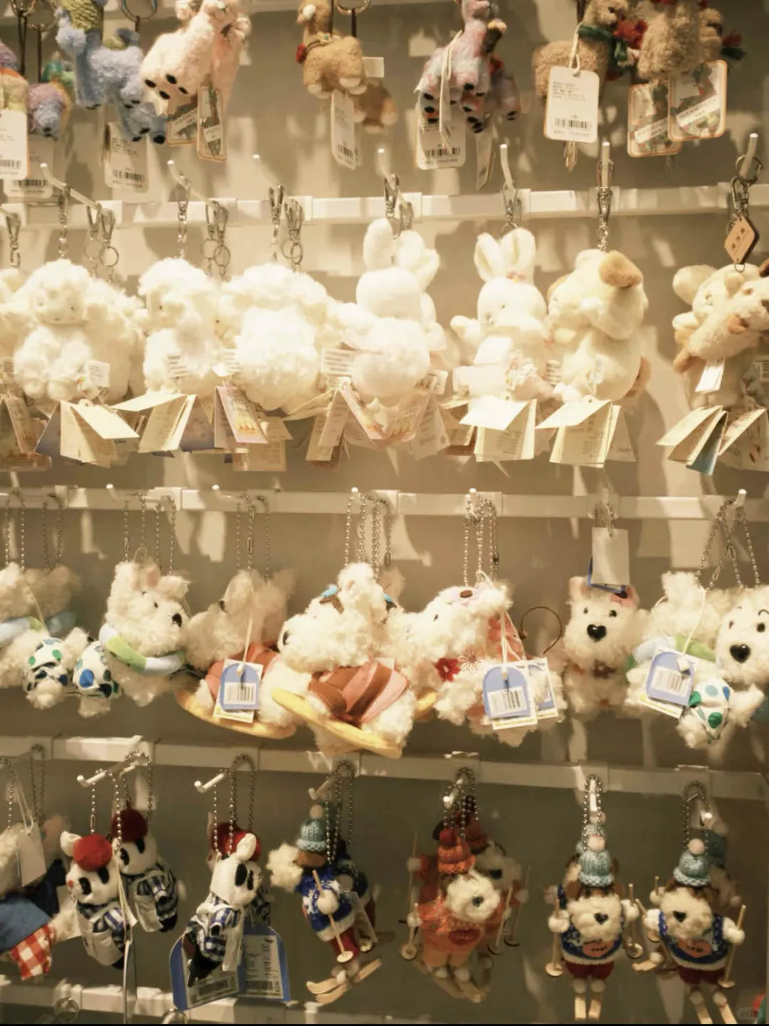 iOS有福了！Dazz会员免费版终于来了！！