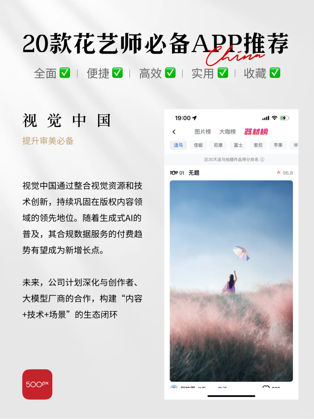 花艺师工具大公开！这些法宝让你事半功倍