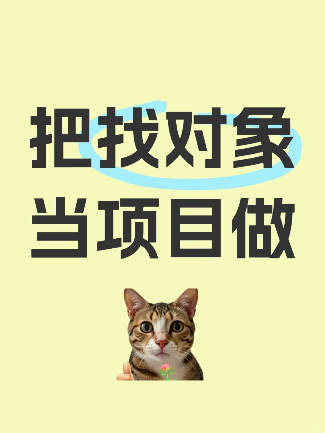 当咨询师把找对象当项目做