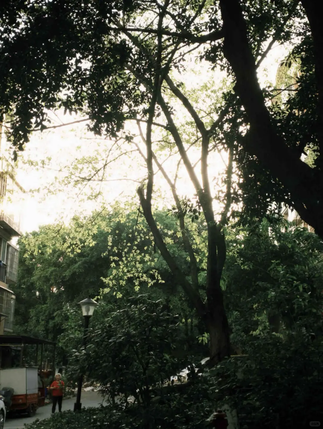 iOS有福了！Dazz会员免费版终于来了！！