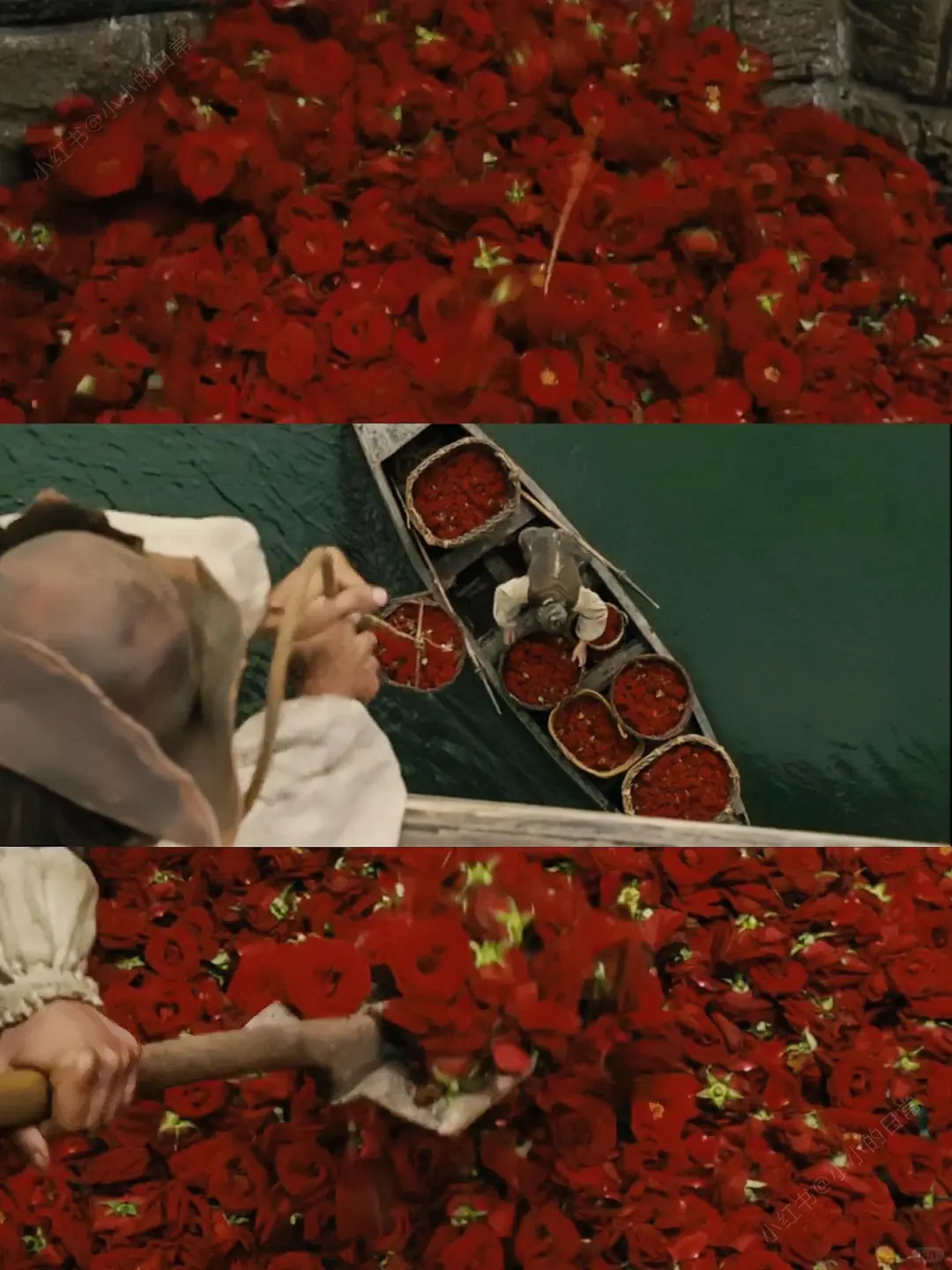 看得我一边喊变态一边喊天才❗️❗️❗️