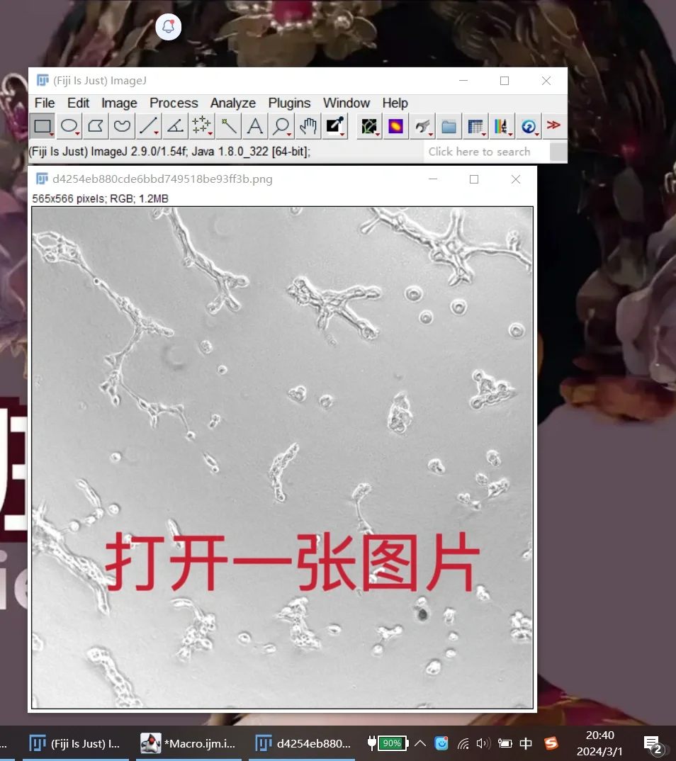 image j插件下载安装步骤