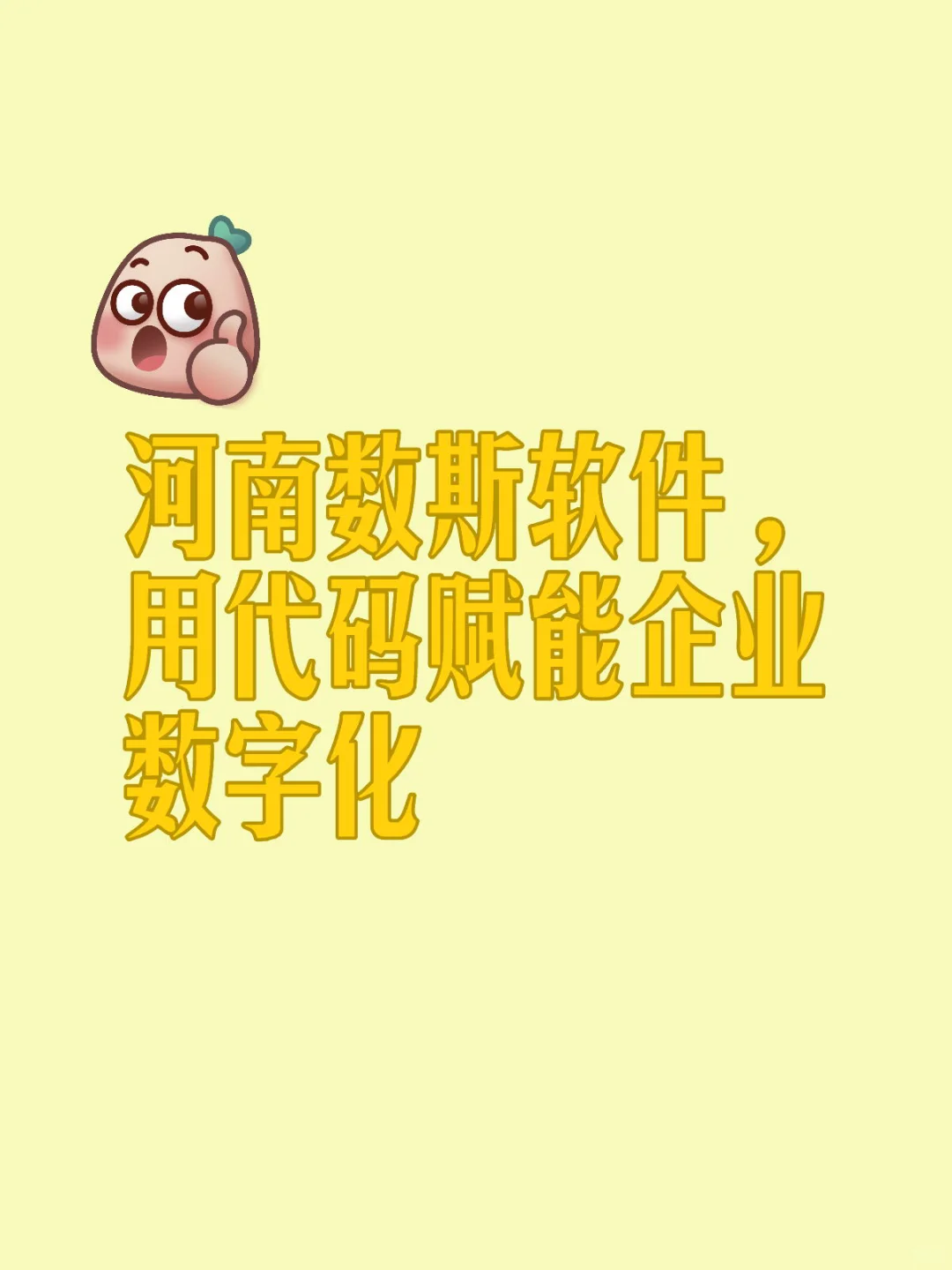 河南数斯软件来啦