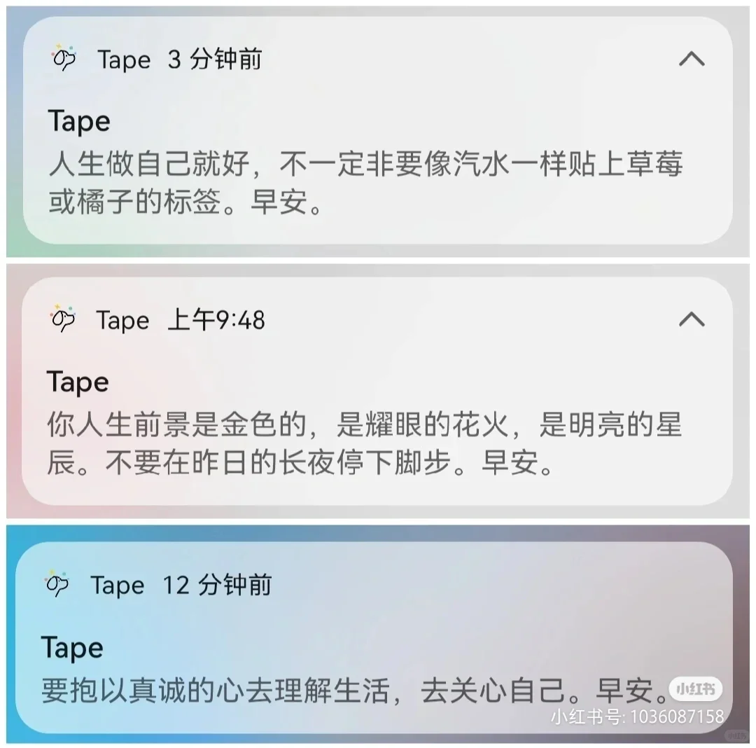 喜欢的软件